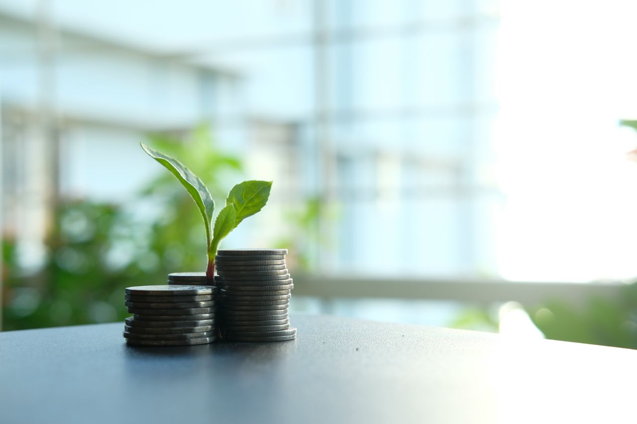 A small plant sprouting from stacked silver coins, symbolising growth in finance.